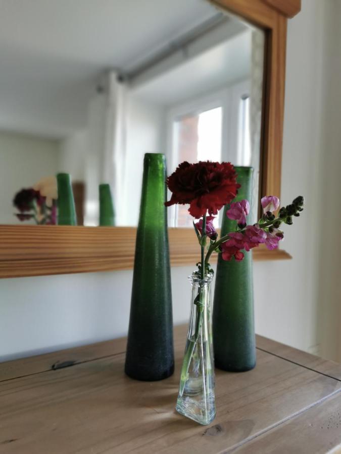 Bed and Breakfast Housing De Brouwerij Westdorpe Esterno foto
